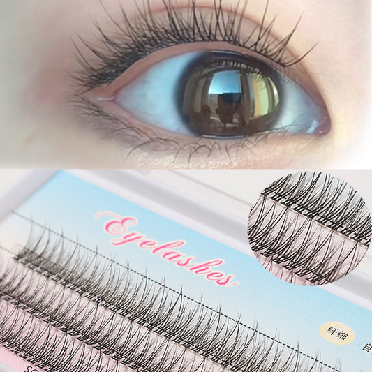 Fishtail Segmented Style Eyelashes