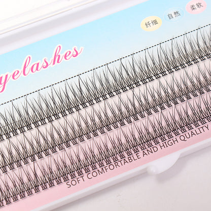 Fishtail Segmented Style Eyelashes