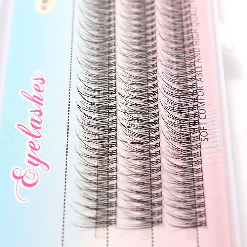 Fishtail Segmented Style Eyelashes