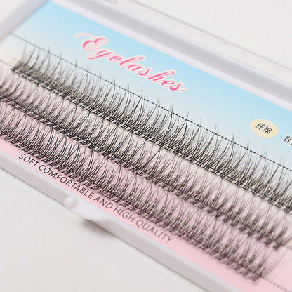 Fishtail Segmented Style Eyelashes